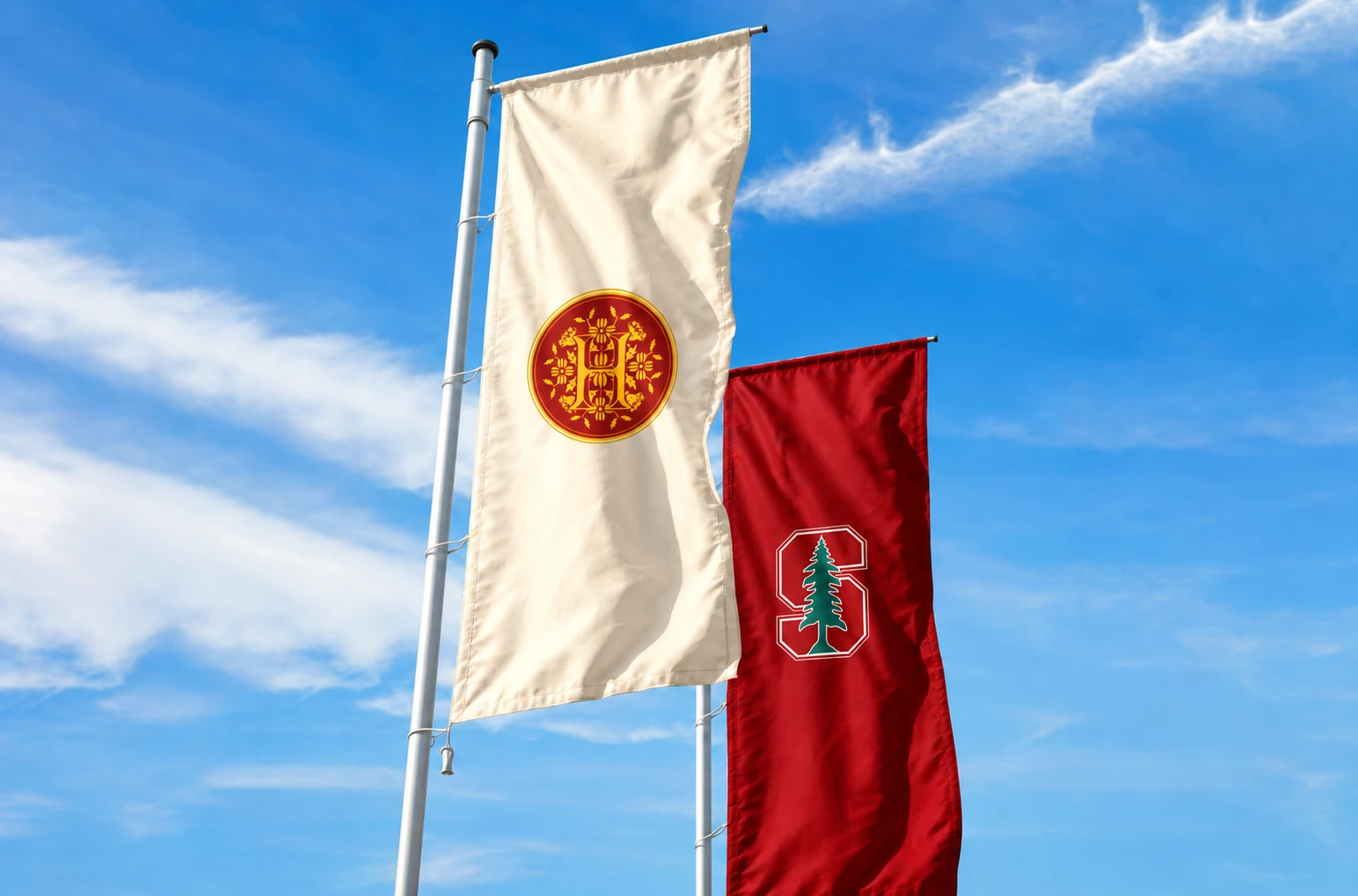 Cream flag with the crest flying beside a red Stanford flag