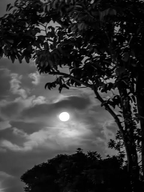 Full moon through clouds behind a tree, in black and white